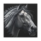 Midnight Mane - Canvas