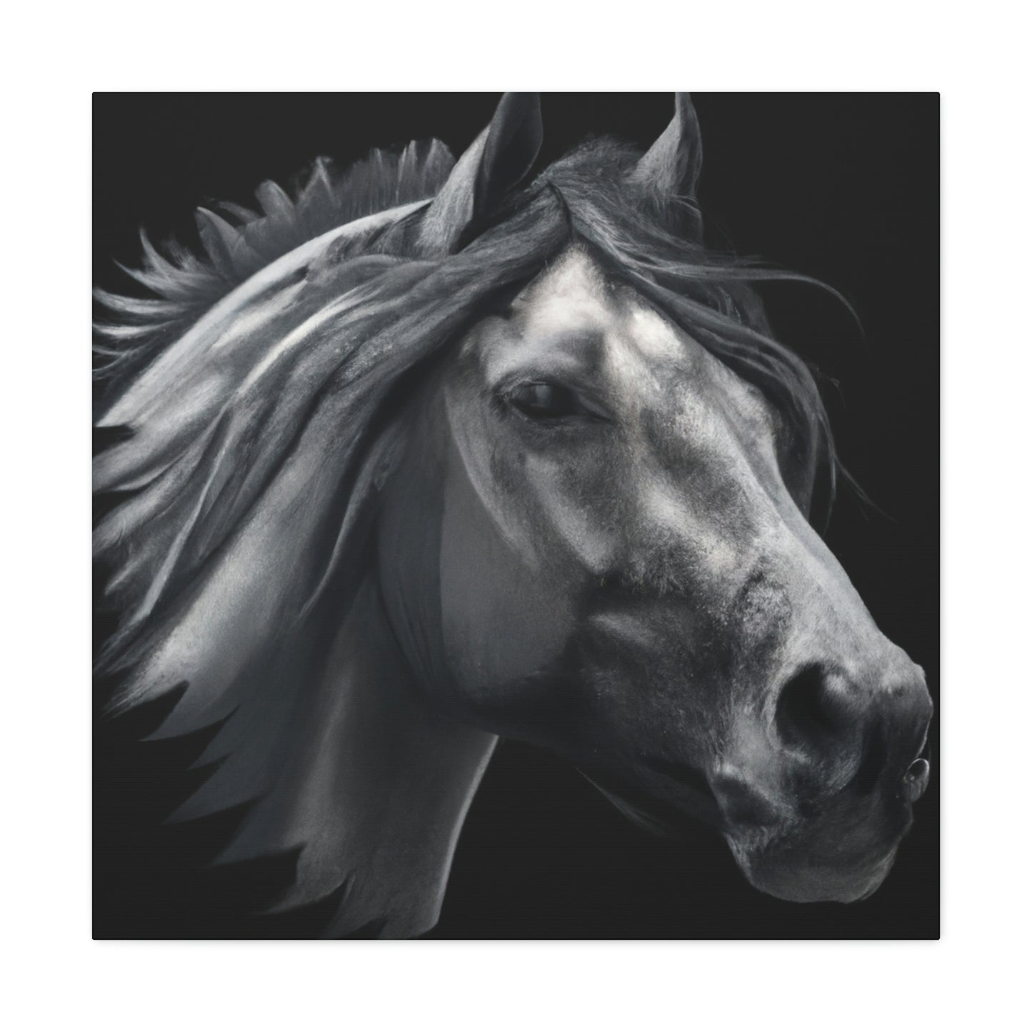 Midnight Mane - Canvas