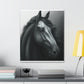 Dark Equus. - Canvas