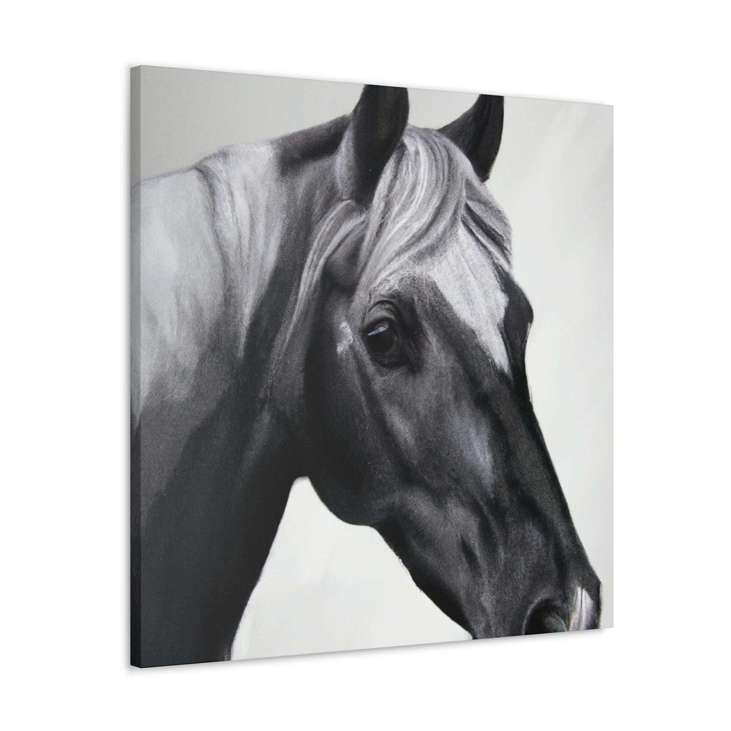 Shadow Steed. - Canvas