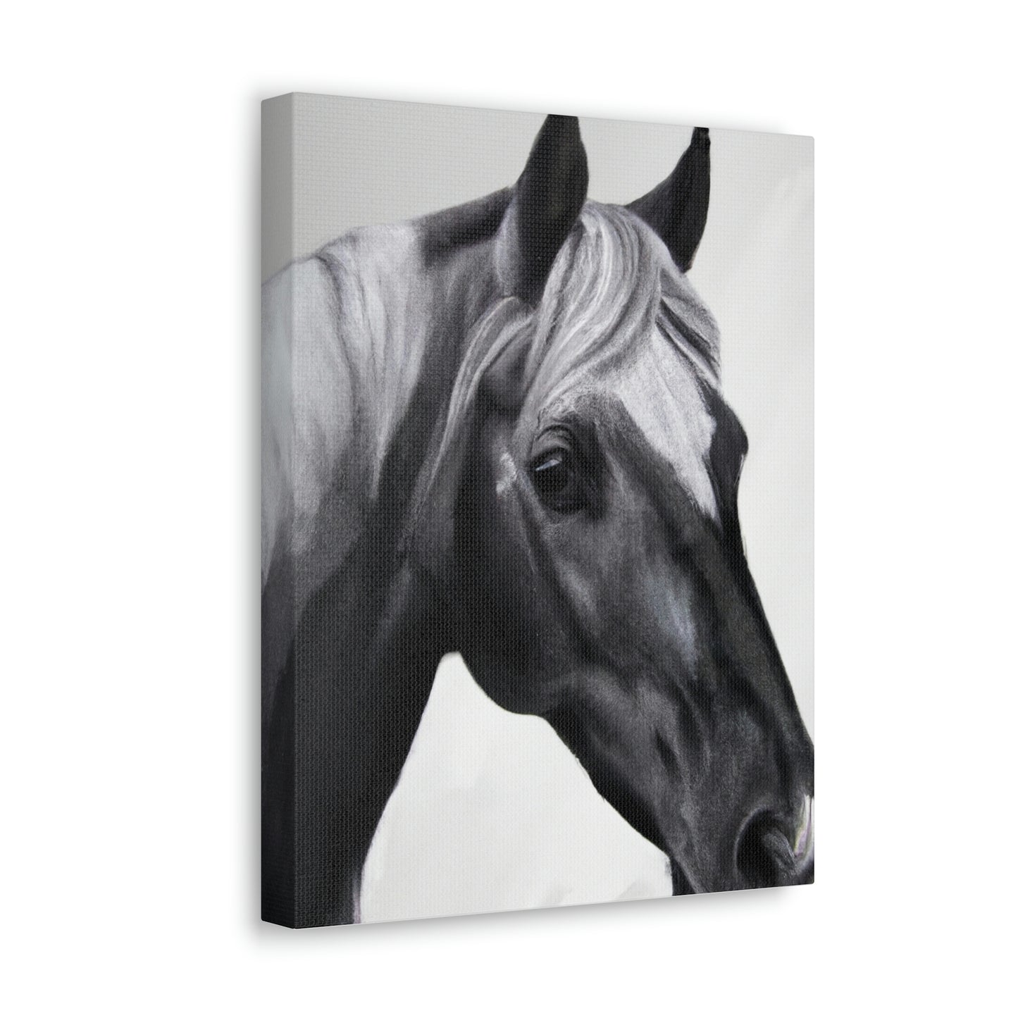 Shadow Steed. - Canvas