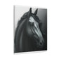 Dark Equus. - Canvas