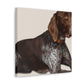 Dog Pointer Splendour - Canvas