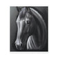 Ashen Majesty - Canvas