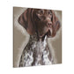 Pointer Posh. - Canvas