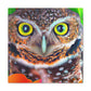 Owl Splendor. - Canvas